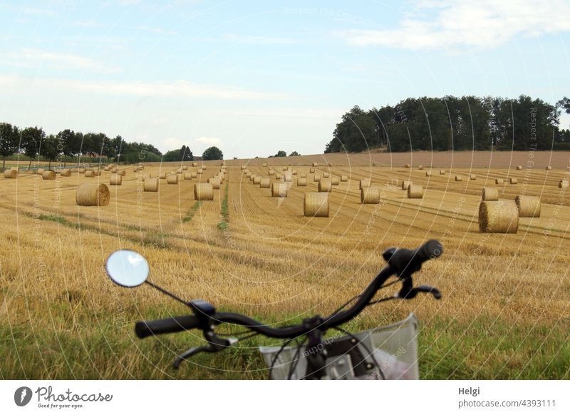lots of rolled straw bales on a field at the edge of the cycle path Field acre Bale of straw Coil Harvest harvest season Bicycle Bicycle handlebars Agriculture