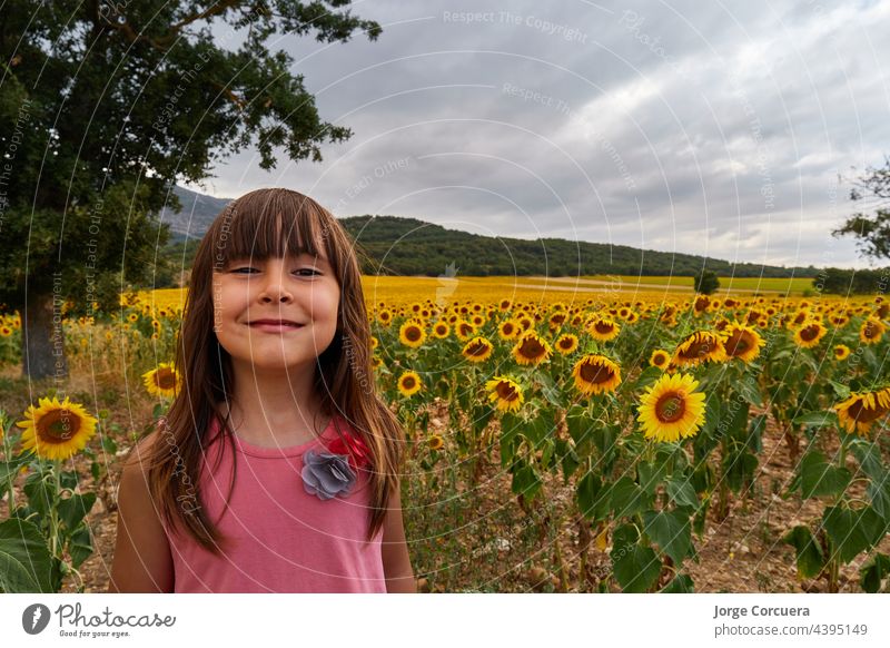 girl with funny face, looking at camera in a stunning field of sunflowers kid child happy joy people person summer sunny young beautiful beauty caucasian