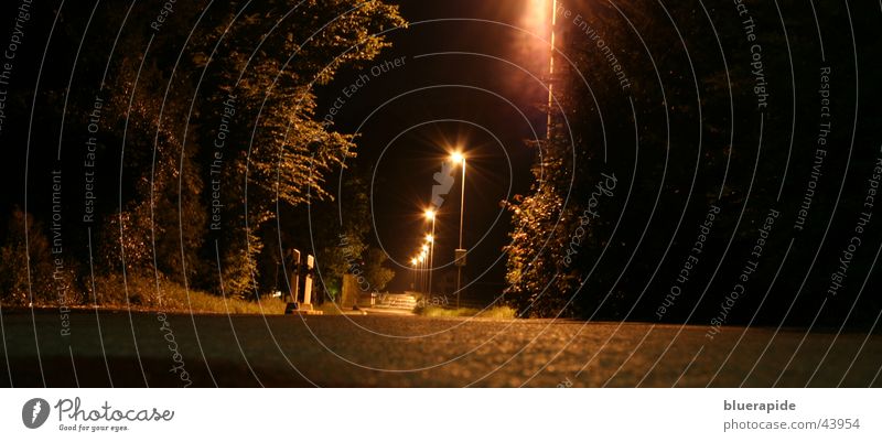 streetlife Night Dark Black Street lighting Concrete Tar Bushes Glimmer Long exposure Plant Gold Sky Lamp