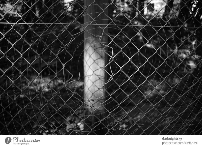 Fence with damage that can be used for escape or burglary and must be repaired Barbed wire Meadow Black & white photo Barbed wire fence Border Wire Deserted