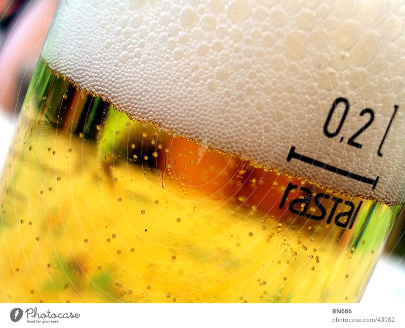 A cool light! Beer Drinking Alcoholic drinks Glass Kölsch 0.2