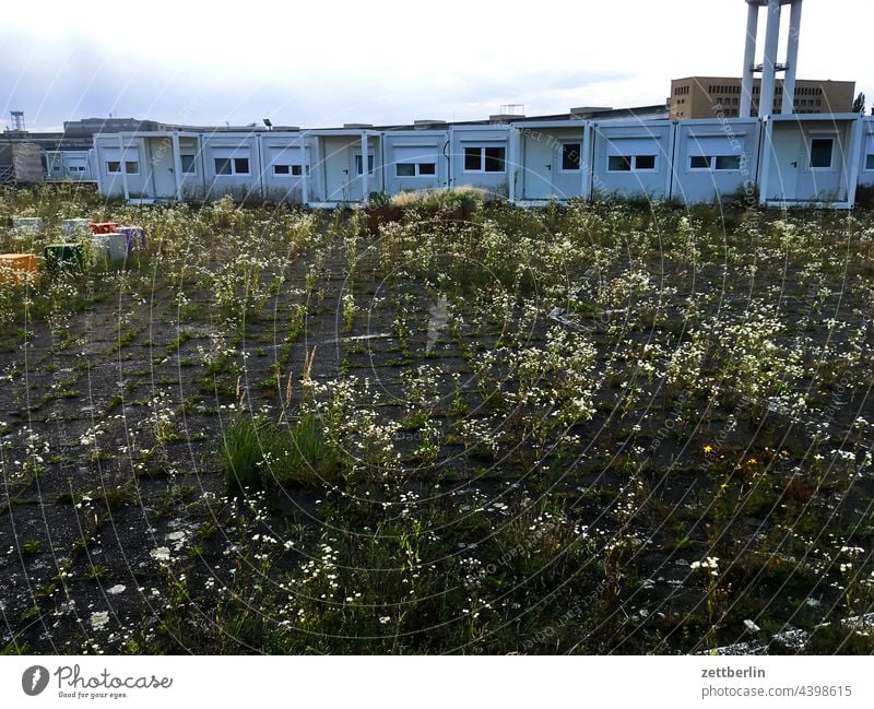 Temporary refugee accommodation Berlin Far-off places Trajectory Airport Airfield Freedom Spring Sky Horizon Deserted taxiway Skyline Summer Tempelhof