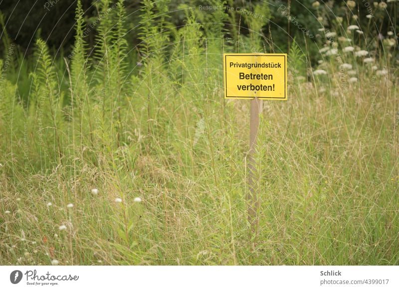 Sign no trespassing private property on a meadow with many wild flowers sign No trespassing Meadow Wild herbs Grass Tall canopyless Yellow Text writing German