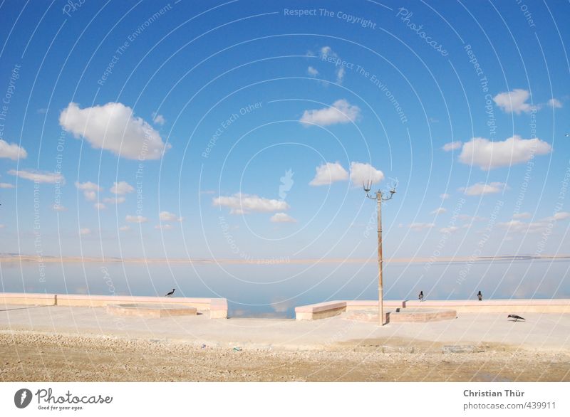 Qarun Lake near Al Fayyum - Egypt Harmonious Well-being Senses Relaxation Calm Fishing (Angle) Tourism Trip Water Clouds Winter Beautiful weather Lakeside