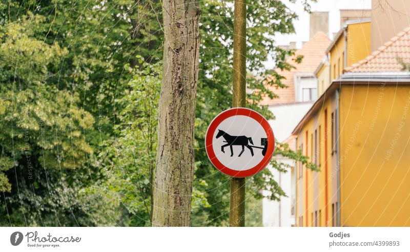 Road sign for carriage traffic on a pole in Poland street sign Signs and labeling Signage Street Deserted Town Exterior shot Colour photo Tree