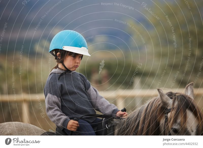 5-year-old girl riding on a horse, in a hipico club. infalltil sport concept young nature child animal cheerful saddle stallion dressage female pasture