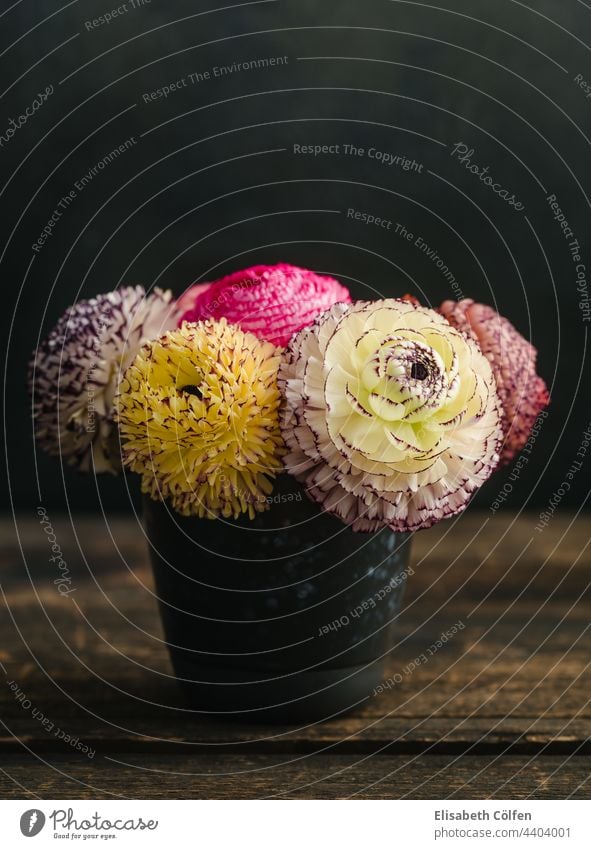 Ranunculus flowers in a vase heyday Bouquet Elegant Flower no person Summer Vase no people pastel ranunculus romantic Still Life Blooming Blossom botanical