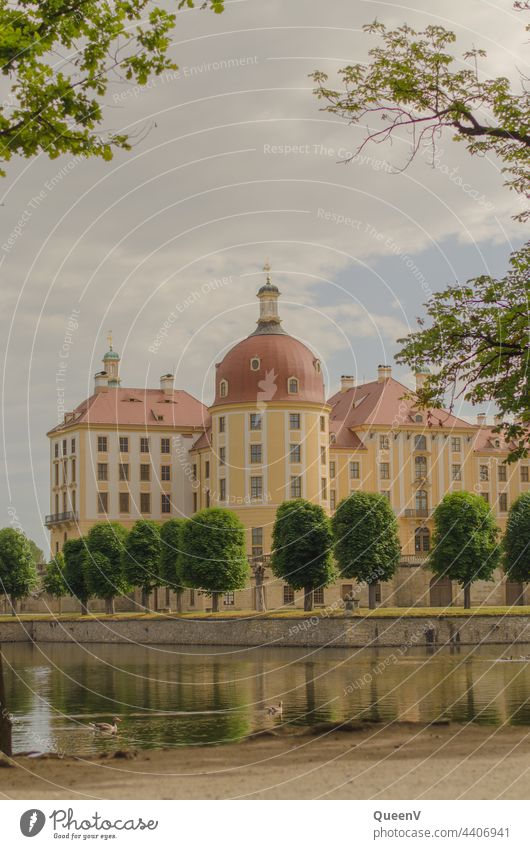 Moritzburg Castle Lock Dresden Saxony Architecture Reflection Tourist Attraction Tourism Building Germany Vacation & Travel Historic Monument Trip Europe Yellow
