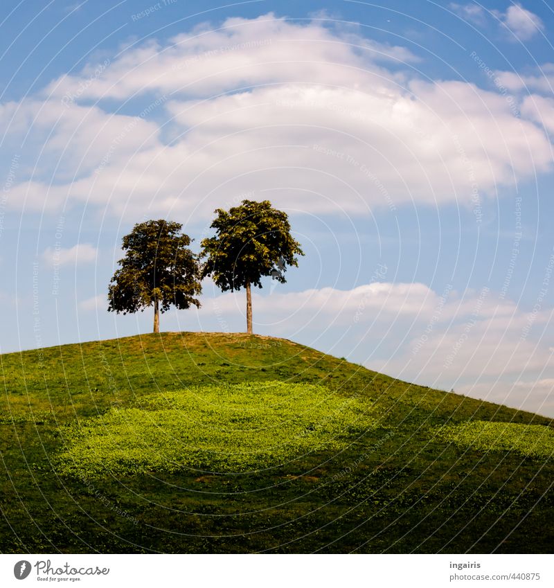 The little mountain Nature Landscape Sky Clouds Summer Beautiful weather Plant Tree Grass Meadow Hill Illuminate Stand Tall Natural Above Blue Brown Green White