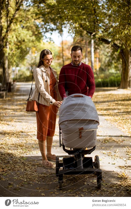 Happy young parents walking in the park and driving a baby in baby carriage adorable autumn child childhood dad family father happy leisure lifestyle man mom