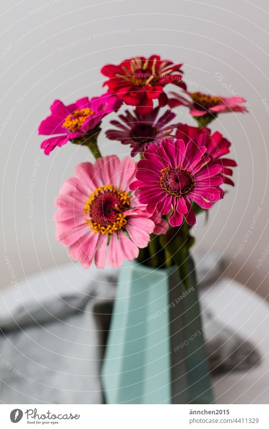 pink flowers in a turquoise vase stand on a small table Summer Autumn Vase Bouquet Nature Blossom Pink Turquoise Green Table Flower Decoration Interior shot