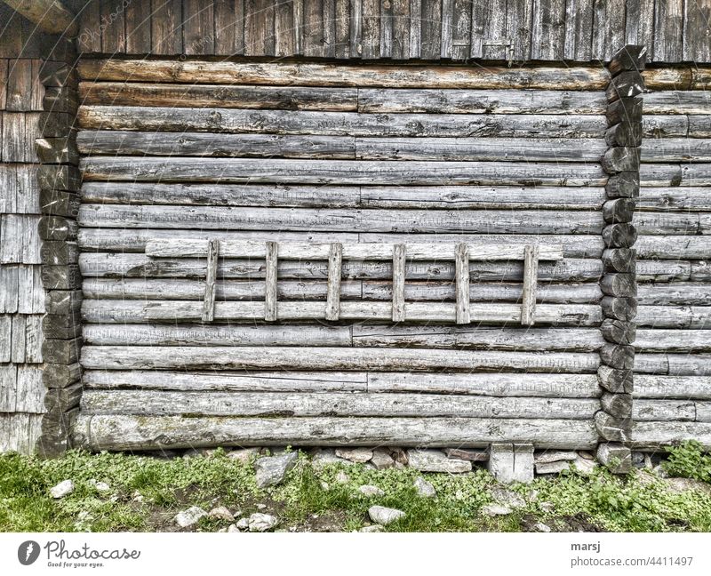 Afraid of heights? No problem. Left or right, that's the question here. Wooden ladder against the hut wall. Ladder Rustic Quaint Hut Insecure Weathered