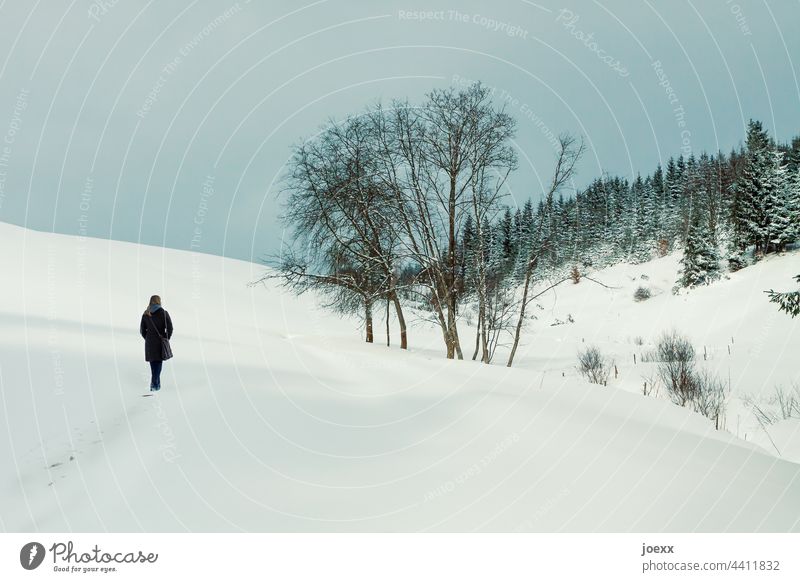 Young woman walks through a wintry snowy landscape Hiking Landscape Woman Nature Winter vacation Snow Freedom Far-off places Trip Vacation & Travel