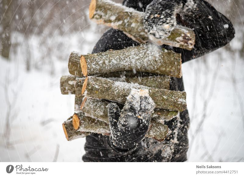 Hand with cut firewood in forest, closeup, raw white alder firewood in snowfall winter day, preparing wood for next year. Snowy cold january or february evening. People working with hands