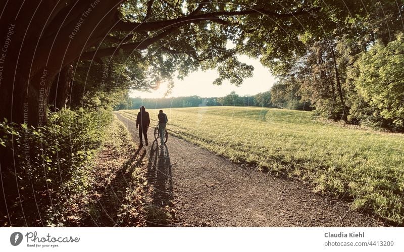 Shadows on the way Clearing Edge of the forest evening light in the evening evening quiet Sunlight Green Nature naturally strollers Bicycle shadow cast