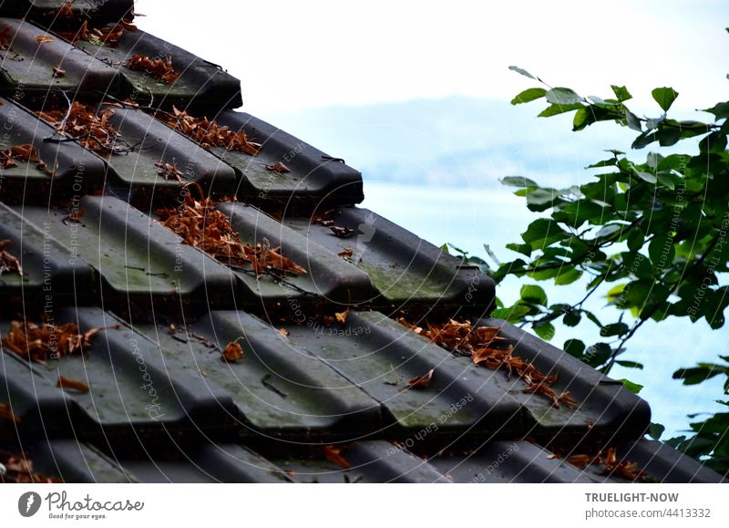 Roof tiles protect an old ship's hut on the wooded shore of Lake Lucerne with a view of the lake and the opposite shore with mountains. Switzerland Ship's hut