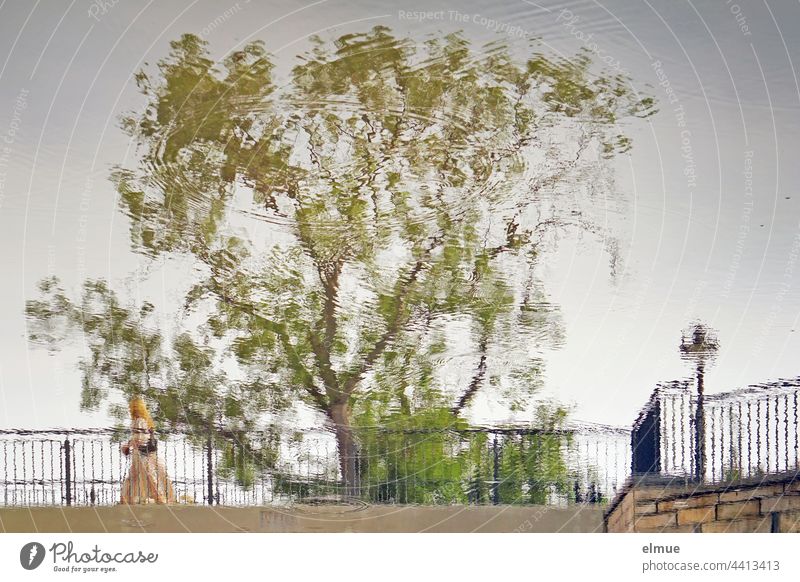 Bridge railings, tree, street lamp and a girl with long red hair are reflected in the water / Illusion / Optical illusion Water reflection Tree Girl Fairy