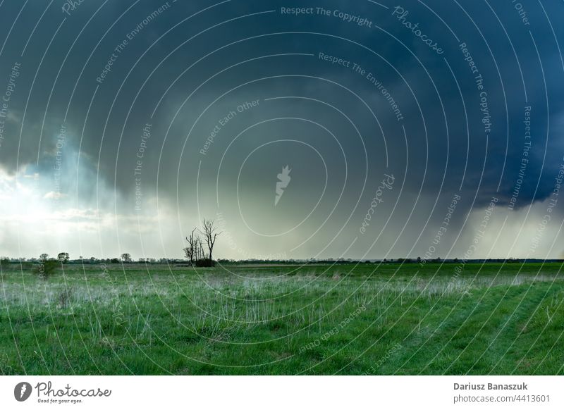 The cloudburst over the meadow with trees, Czulczyce, Poland storm rain spring nature weather green landscape view field summer horizon grass sky rural cloudy