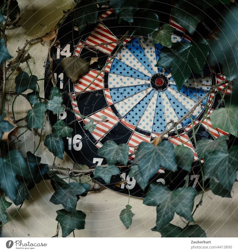 entwined with ivy // the window can wait // so wait you too Dartboard Target Ivy aimlessness Darts overgrown Strike Round circularly Life goal precise Old