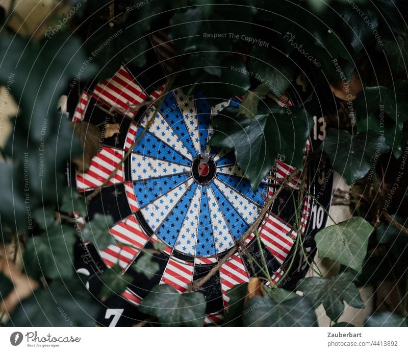 Dartboard overgrown with ivy as a symbol for aimlessness Useless Target Ivy Darts Strike Round circularly Life goal precise Old Circle focus Arrow Aim
