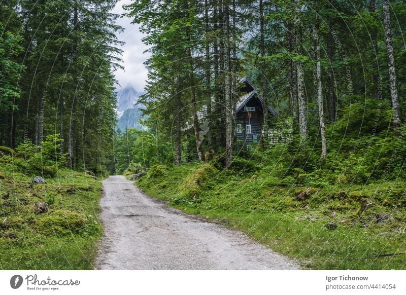 The hiking path to Upper Gosau Lake Dachstein, Austria austria dachstein ramsau countryside landscape scenery forest nature mountain alps europe travel outdoors