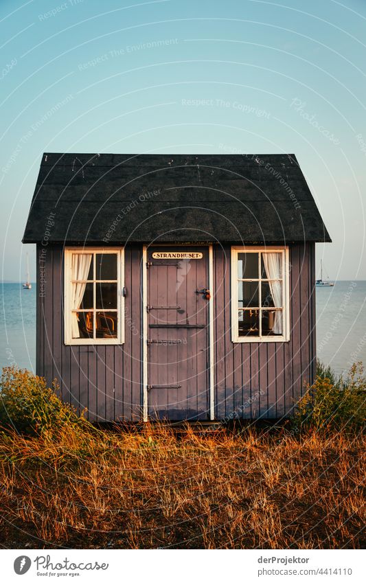Beach house on the hygge island Ærø in Denmark IX relaxation relax & recuperate" Freedom Summer Exterior shot Baltic Sea Tourism Neutral Background Landscape