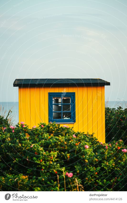 Beach house on the hygge island Ærø in Denmark VIII relaxation relax & recuperate" Freedom Summer Exterior shot Baltic Sea Tourism Neutral Background Landscape