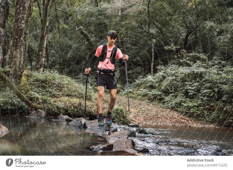 Male hiker with trekking poles in forest man stick traveler lake male adventure environment explore wanderlust woods water stand equipment woodland nature pond