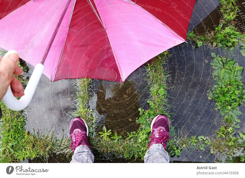 The feet of a woman with an umbrella on the wet floor Umbrella Rain Woman Legs Puddle Wet Water Hand out Rainy weather Weather Cold Damp Footwear Ground Stand