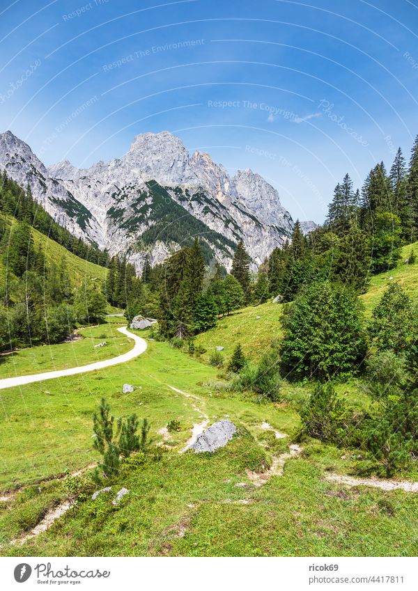 View of the Bindalm in the Berchtesgadener Land in Bavaria Berchtesgaden Country Alps mountain Tree Forest Landscape Nature Summer Alpine pasture Meadow Grass