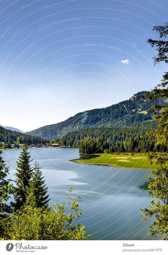 Spitzingsee Cycling Nature Landscape Cloudless sky Summer Beautiful weather Bushes Forest Alps Mountain Lakeside Esthetic Far-off places Natural Blue Green Calm