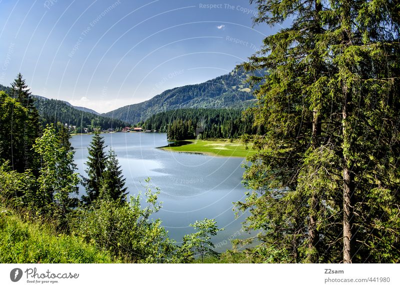 Spitzingsee Nature Landscape Cloudless sky Summer Beautiful weather Tree Bushes Alps Mountain Lakeside Esthetic Far-off places Natural Blue Green Calm