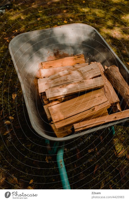 firewood Camping voyage Firewood Wood Logs Stack of wood Wheelbarrow Light Summer Sun Meadow resource Colour photo Brown Fuel