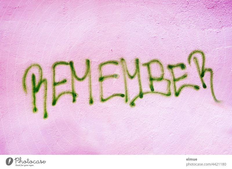 REMEMBER is written in green capital letters on the pink wall / remember / graffito Remember preserve souvenir Graffito Graffiti upper-case letters Handwriting
