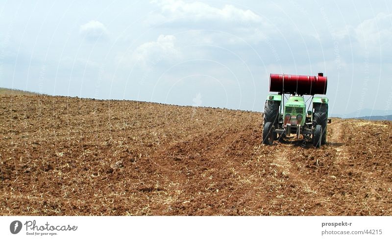 bulldog Tractor Agricultural machine Field Clouds Green Working in the fields Farmer Farm worker Agricultural engineer Transport Cologne-Deutz Sun Blue no sun