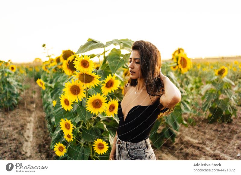 Young woman with sunflower in summer nature yellow style countryside grace bloom blossom bare shoulders field female young hispanic romantic environment