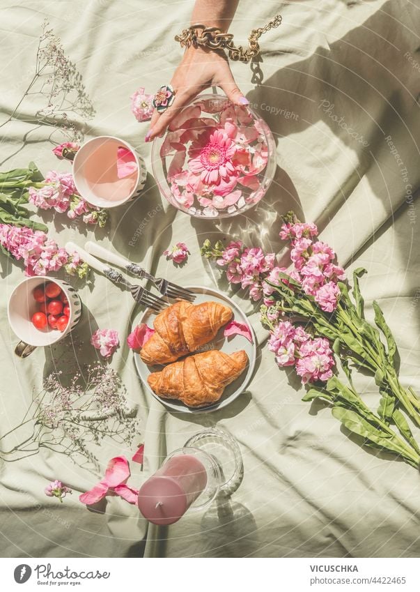 Aesthetic picnic at sun day with croissants, tea, bouquet of pink flowers and candles. Women hand holding glass vase with floating petals. Top view