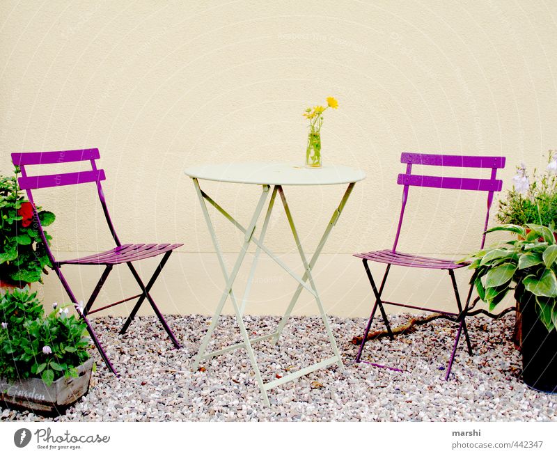 Place in the garden Lifestyle Leisure and hobbies Flat (apartment) Garden Nature Plant Moody Table Chair Furniture Pebble Violet Garden chair Relaxation