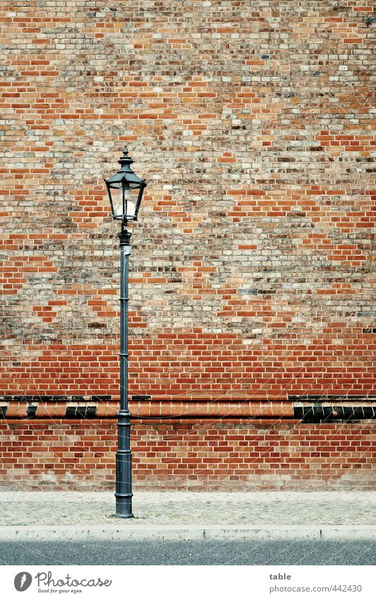 party lamp Street lighting Berlin Town House (Residential Structure) Church Castle Ruin City hall Manmade structures Building Architecture Wall (barrier)