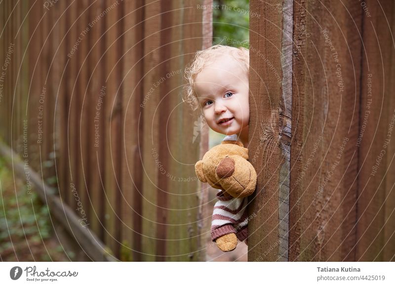 A little curly-haired girl looks out of a hole in the wooden fence. Holds a teddy bear toy. White dress. Summer day. play kid toddler happy child childhood
