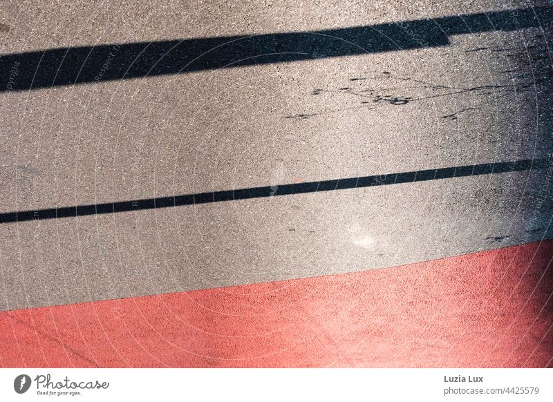 Pavement markings red and grey, with shadows of tender stalks at the edge Shadow Sunlight sunshine Bright Flashy Contrast Summer Lane markings Back-light Town