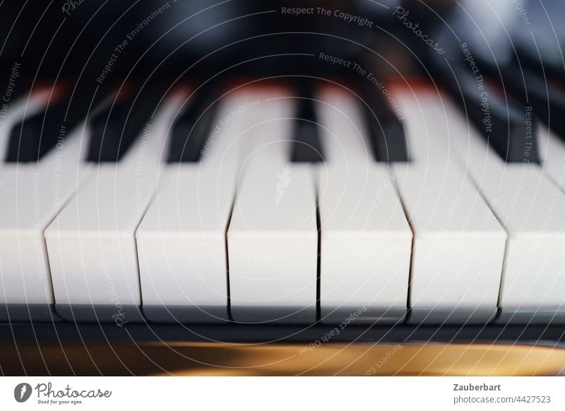 Keys of a piano, one octave, as a close-up, with blurring fumble Piano Grand piano Black White tones Music Sound Playing Keyboard instrument Musical instrument