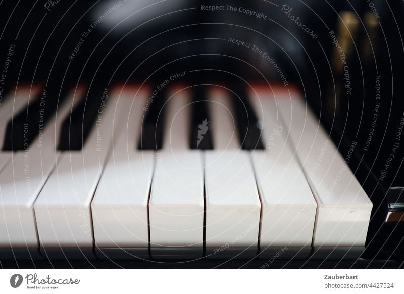 Keys of a piano, upper octave, as close-up, with blurring fumble Piano Grand piano Black White tones Music Sound Playing Keyboard instrument Musical instrument
