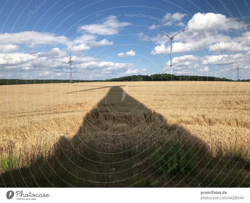Energy transition: The shadow of a wind turbine falls on a grain field. Photo: Alexander Hauk energy revolution Pinwheel Wind Grain Grain field Exterior shot