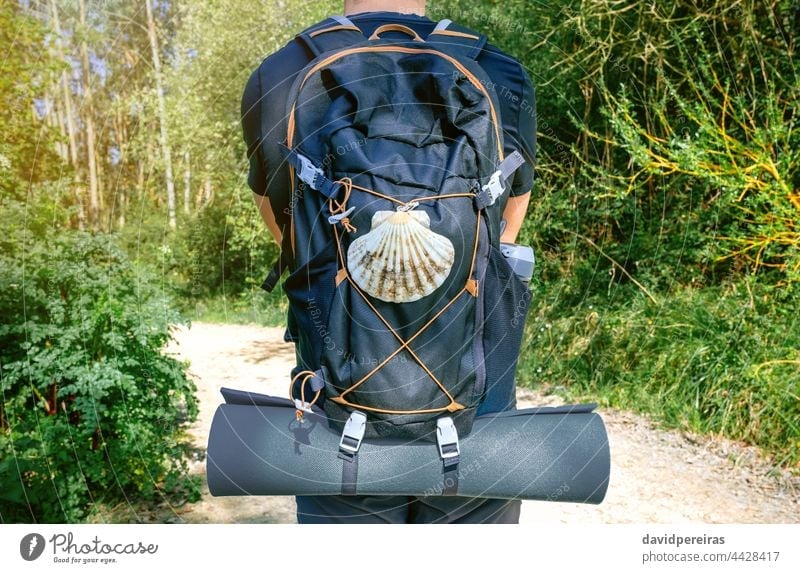 Unrecognizable pilgrim of Saint James way from behind unrecognizable man saint james way backpack shell scallop mat trekking walk hiking travel midsection