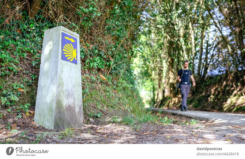 Milestone of Saint James way with pilgrim walking saint james milestone signpost man shell hiking travel camino santiago route tourism path asturias arrow