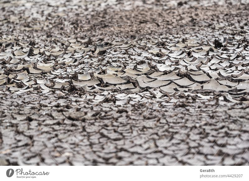 dry soil without plants close up arid background bad ecology catastrophe climate cracks crisis desert drought earth ecological crisis ecological disaster