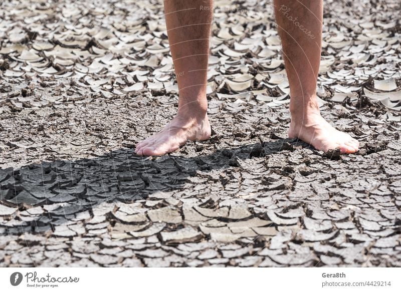 Most debris on the ground is not hazardous to bare feet — Born to Live  Barefoot