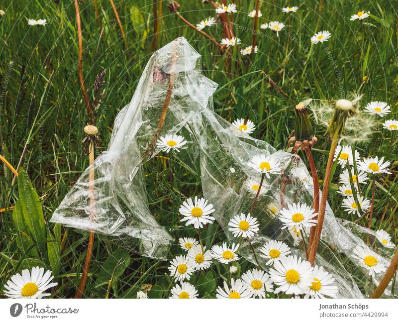 Environmental pollution on the meadow Trash Egotistical plastic Plastic bag plastic foil Meadow Flower Green Grass out Nature Recycling Problem