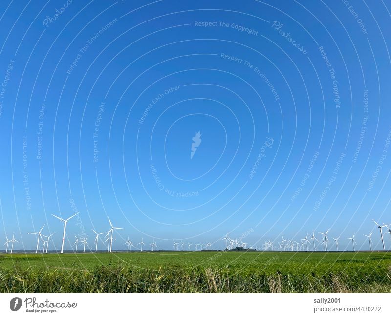 much wind for energy wind farm wind power Wind energy plant Wind power station Pinwheel windmills Energy industry Renewable energy Electricity